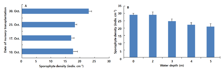 Density of Undaria pinnatifida young sporophytes by date (A) and water depth (B) of nursery transplantation