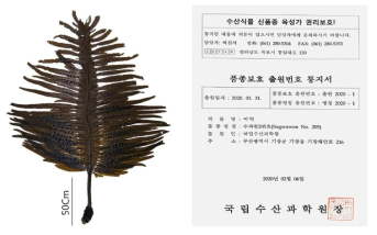 Morphology of new variety Sugwawon-205 (left) and notice of application number for variety production (right)