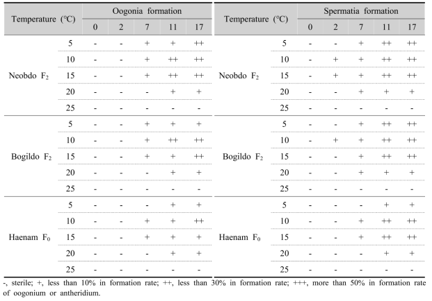 Gametophytic maturation and oogonia or spermatia formation of gametophyte under temperature conditions of Saccharina japonica 3 strains for 17 days culture