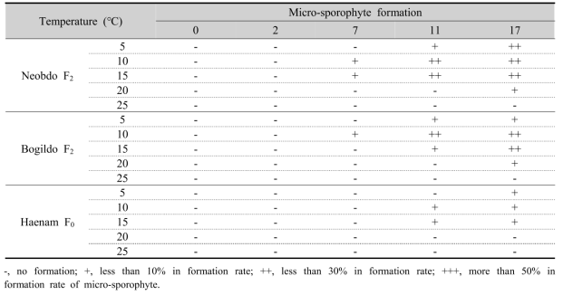 Gametophytic maturation and micro-sporophyte formation of gametophyte under temperature conditions of Saccharina japonica 3 strains for 17 days culture