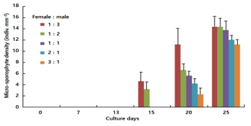 Micro-sporophytes density by female and male gametophyte ratio of Saccharina japonica