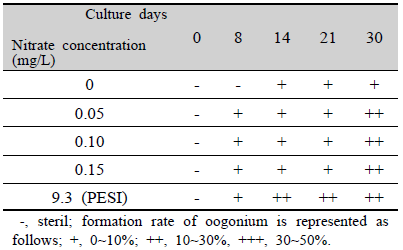 Oogonia formation of female gametophyte under different Nitrate concentration (mg/L) in Saccharina japonica