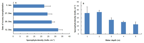 Density of Saccharina japonica young sporophytes by date (A) and water depth (B) of nursery transplantation