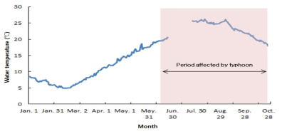 Daily seawater temperature and period affected by typhoon (shadow) at culture ground from January to October 2018 in Haenam, Korea