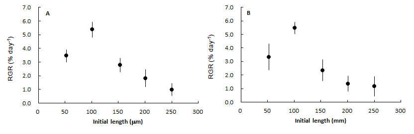 Relative growth rate of female (A) and male (B) gametophytic fragments in Saccharina sculpera according to the initial length of the fragment after 20 days culture under 15℃, 20 μmol/m2/sec and 10:14 h (L:D). Vertical bars represent S.D