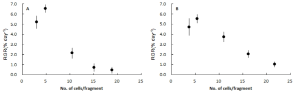 Relative growth rate of female (A) and male (B) gametophytic fragments in Saccharina sculpera according to the number of initial cells in the fragment after 20 days culture under 15℃, 20 μmol/m2/sec and 10:14 h (L:D). Vertical bars represent S.D