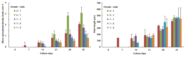 Micro-sporophytes density (left) and length (right) by female and male gametophyte ratio of Saccharina sculpera