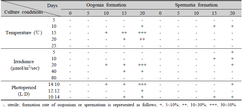 Gametophytic maturation and oogonia or spermatia formation of gametophyte under temperature, irradiance and photoperiod conditions of Saccharina sculpera