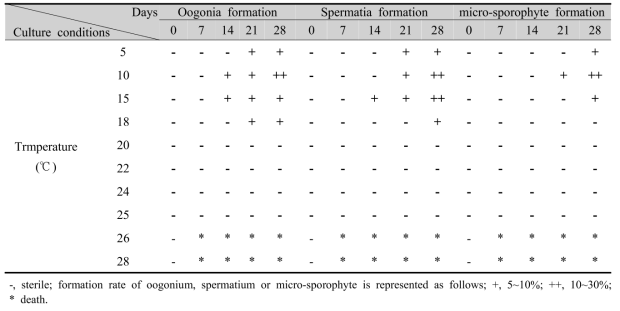 Gametophytic maturation, micro-sporophyte and oogonia or spermatia formation of gametophyte under varius temperature conditions of Saccharina sculpera