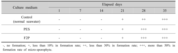 Formation of micro-sporophytes of Saccharina sculpera by culture medium