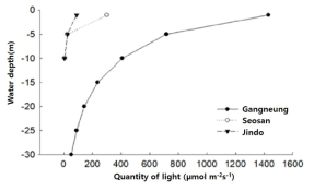 Light intensity by depth in Saccharina sculpera cultivation area