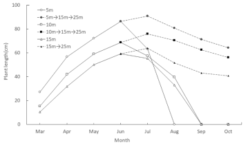 Changes in monthly blade length of Saccharina sculpera in relation to depth. Kelp sporophytes were cultured at a range of depth (5~25 m) from December 2019 to October 2020. Cultivation ropes were adjusted from 5 m and 10 m to 15 m in June, and from 15 m to 25 m in August 2020