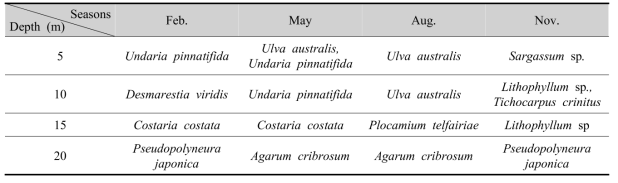 List of dominant species by water depth in Sageunjin subtidal zone, Gangneung