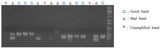 PCR test example