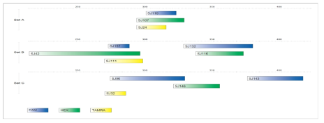 Multiplex PCR combinination capable of amplifying 12 markers