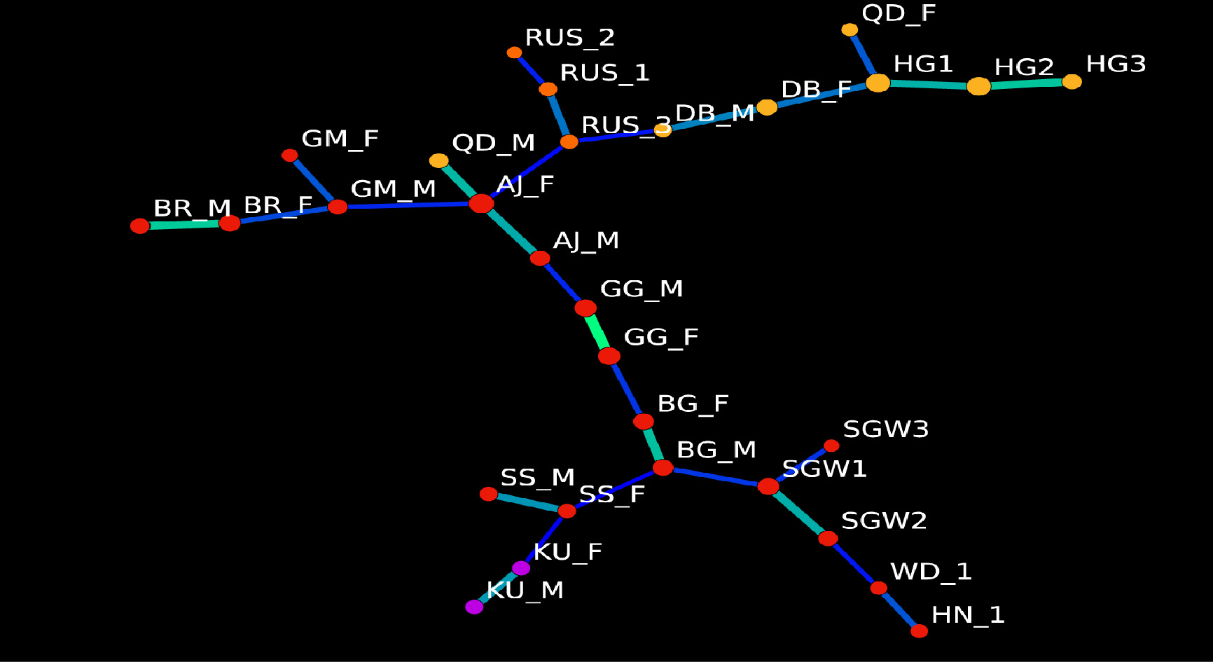 Network analysis using minimum spawning tree algorithm