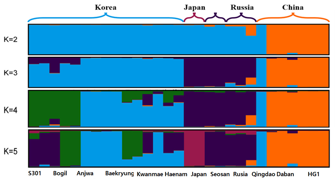 Results of Population structure analysis