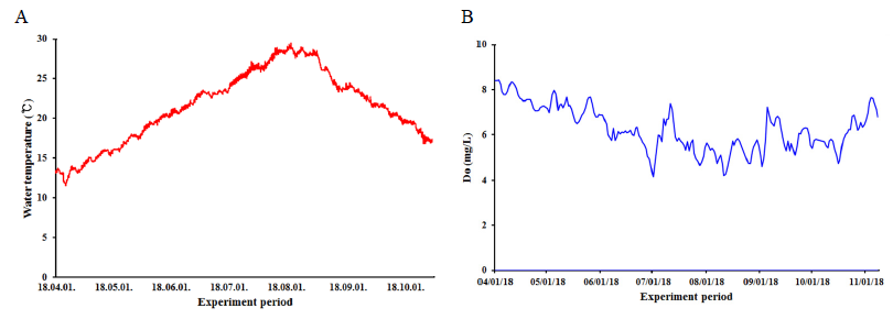 Changes in water temperature and dissolved oxygen. A, water temperature; B, dissolved oxygen