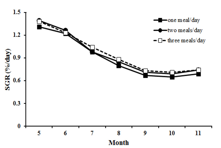 Monthly growth rate