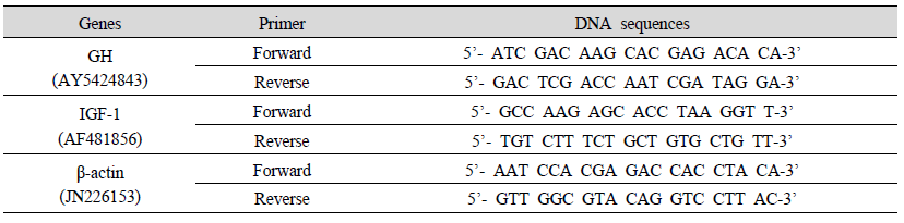 Primer DNA sequences