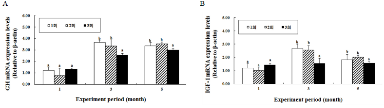 Growth-related hormone expression level by feeding frequency. A, GH; B, IGF-1