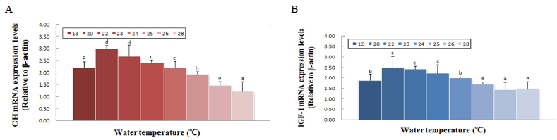 mRNA expression level by water temperature. A, GH; B, IGF-1