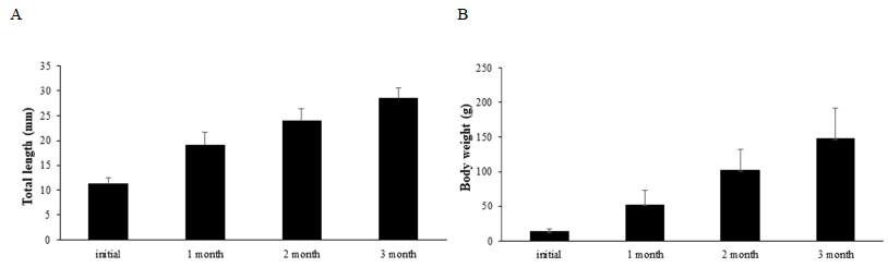 Changes in total length and body weight during the rearing experiment. A, total length; B, body weight