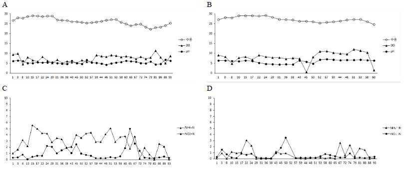 Water quality analysis during the eel rearing experiment. A, water temperature, DO, pH (immature eel); B, water temperature, DO, pH (mature eel); C, NH4 +-N, NO2 --N (immature eel); D, NH4 +-N, NO2 --N (mature eel)