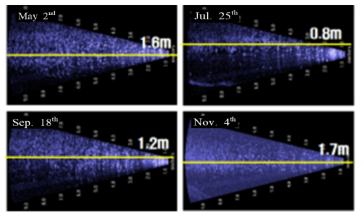 Swimming behavior at normal state