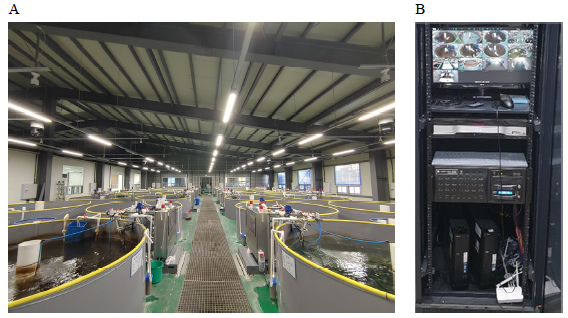 Data collection and analysis system. A, fish behavior monitoring system; B, data analysis system