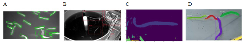 Vision-based fish length measurement. A, Edge extraction; B, YOLO; C, Image connected componet labeling; D, Mask R-CNN