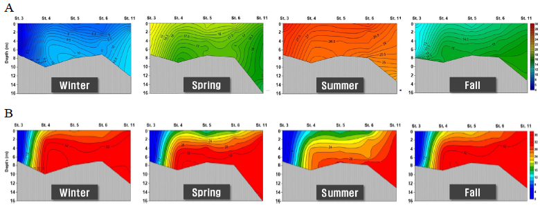 Vertical structure of water temperature (upper) and salinity (lower). Data are seasonal mean values from the Nakdong River estuary during the study period. A, water temperature; B, salinity