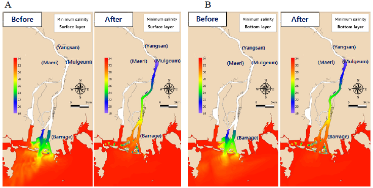 Changes in salinity distribution of surface (A) and bottom waters (B) during high tide around the Nakdong River Estuary: results from numerical model