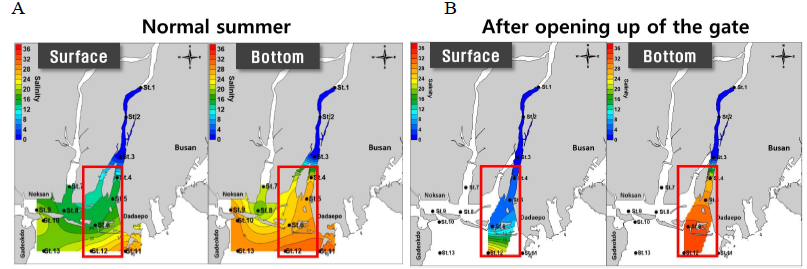 Effect of the floodgate opening event on salinity distribution around the Nakdong River Estuary in summer season. Average salinity during the study period (A) and salinity after the experimental gate opening (B)