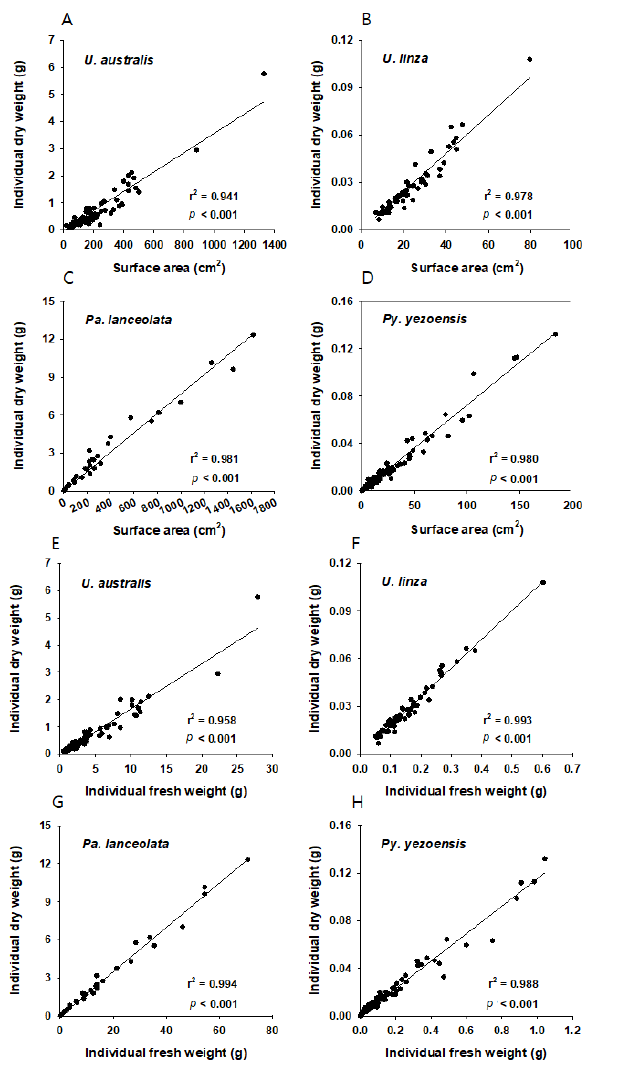 Linear relationships between macroalgal thallus area and individual dry biomass (A－D), individual fresh biomass and dry biomass (E－F) in sheet form macroalgae. Relationships were fitted using the linear regression through the origin: Y=aX