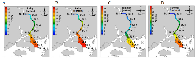 Horizontal distribution of seasonal mean salinity during the study period in the Seomjin River estuary. A, surface in spring; B, bottom in spring; C, surface in summer; D, bottom in summer