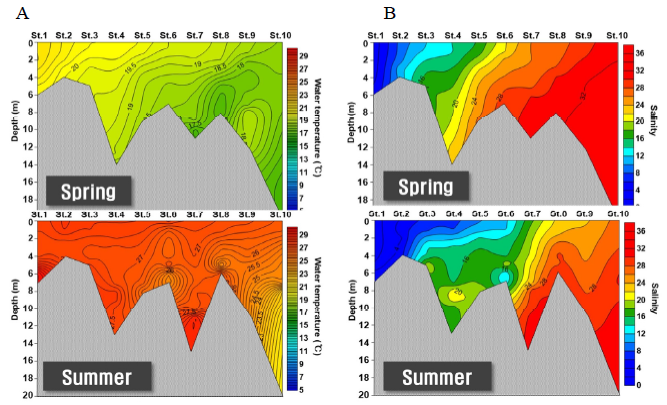 Vertical structure of water temperature (A) and salinity (B). Data are seasonal mean values during the study period from the Seomjin River estuary