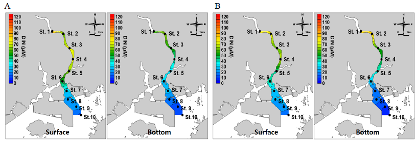 Horizontal distribution of seasonal mean dissolved inorganic nitrogen (DIN) concentration in the Seomjin River estuary during the study period. Spring (A) and summer (B)