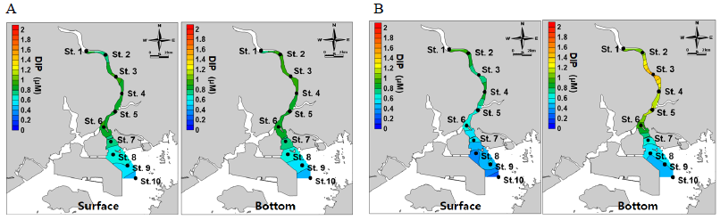 Horizontal distribution of seasonal mean phosphate (PO4-P) concentration in the Seomjin River estuary during the study period. A, spring; B, summer