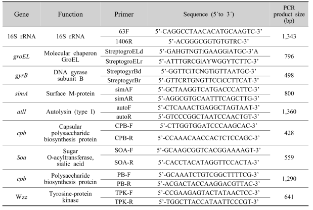 PCR primer and product size information in this study
