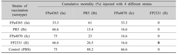 Cumulative mortality of vaccinated fish were inoculated with 4 different S. parauberis strains