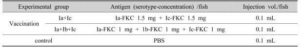Experimental model for vaccine efficacy according to mixed with 3 different S. parauberis serotypes