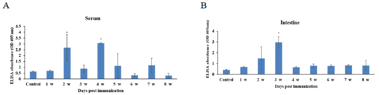Analysis of antibody response of serum from antigen oral intubation serum (A) and intestinal mucus (B) performed by ELISA