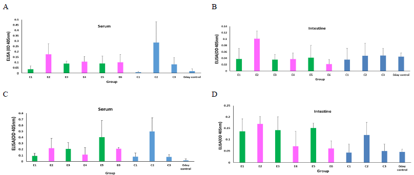 Analysis of antibody response of serum from liposome containing S. parauberis FKC vaccinated fish performed by ELISA. A, serum after 2 weeks; B, intestine after 2 weeks; C, serum after 3 weeks; D, intestine after 3 weeks