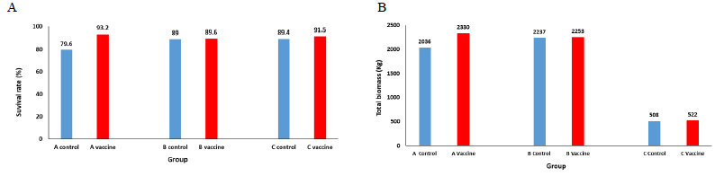 Survival rate (A) and total biomass (B) of olive flounder after oral vaccine administration after 3 months in 3 fish farms