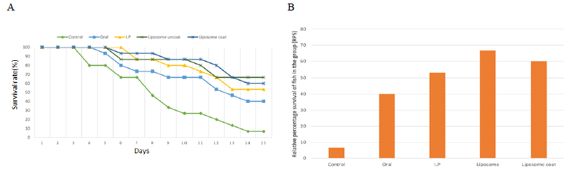 Survival rate (A) and relative survival rate (B) of olive flounder after the VHSV challenge post-oral administration