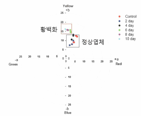 실내 배양에서 김 엽체의 배양일에 따른 황백화 지수 변화