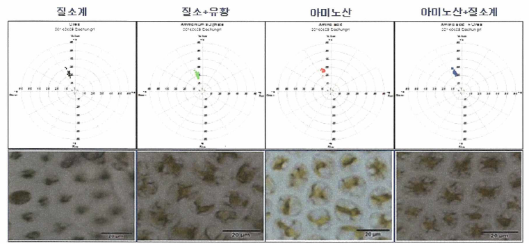 시판 시비제에 처리 투 황백화와 김 세포 회복 결과