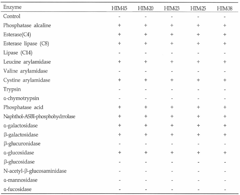 API-ZYM system을 이용한 효소활성 검색 결과
