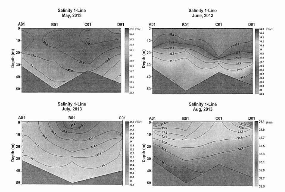 동해남부 연안 연직염분 분포 (2013년 5월 하순, 6월 중순, 7월 하순 및 8월 초순)